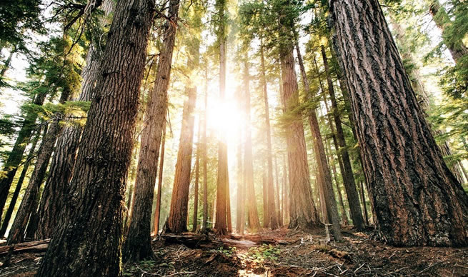 1590050772297403.jpg 9rxufjm9x8u3j1567224386.jpg