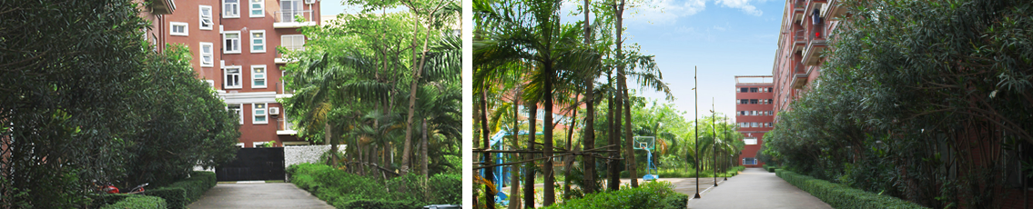 1590222452961925.png b9xvh27oldi521585731718.png